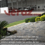 verazsanchez4