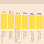 IVFM medio